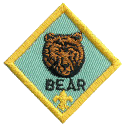 Bears Bears